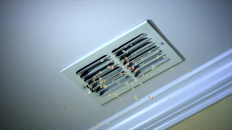 Best Local Air Duct Cleaning Services  in New Franklin, MO