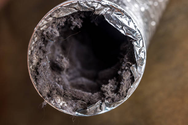 Best Best Air Duct Cleaning Near Me  in New Franklin, MO